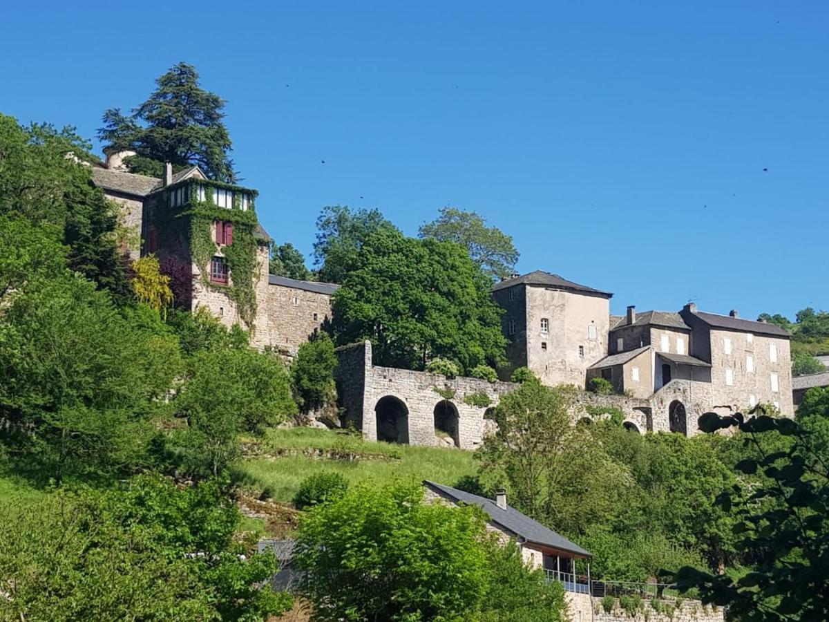 Saint-Léons Maison D'Hotes "La Pierre Pointue" المظهر الخارجي الصورة